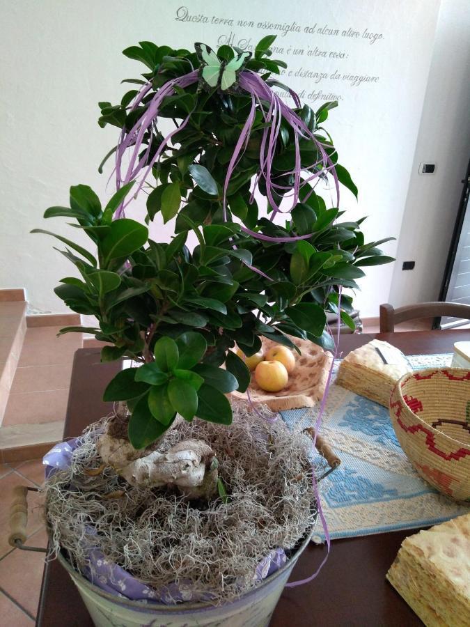 Locanda B&B Dandana Orgosolo Zewnętrze zdjęcie